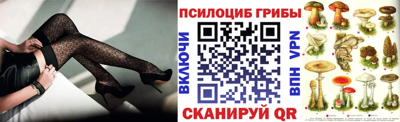 Галлюциногенные грибы Psilocybe  Нея 
